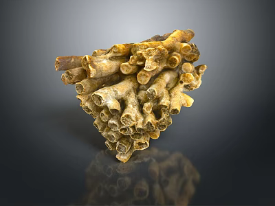 Unique Natural Yellow Brown Coral Reef Structure Formed by Aquatic Animals 3d model