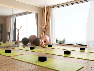 Fitness Yoga Studio With Green Mats Black Blocks Exercise Balls Hammocks And City View 3d model