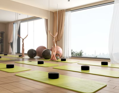Fitness Yoga Studio With Green Mats Black Blocks Exercise Balls Hammocks And City View 3d model