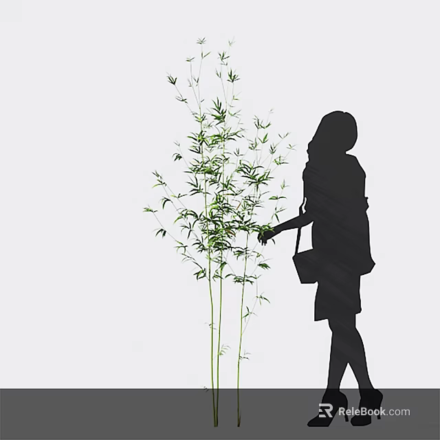 Silhouette of a Woman Touching Green Bamboo Plants 3d model 