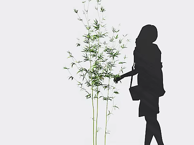 Silhouette of a Woman Touching Green Bamboo Plants 3d model