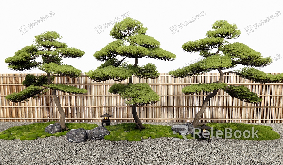 Courtyard landscaping pine lobohan pine black pine courtyard sketch fence model