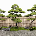 Traditional Japanese Garden Featuring Sculpted Pine Trees Bamboo Fence And Stone Lanterns
