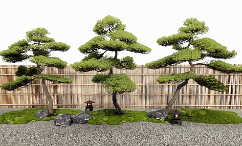 Courtyard landscaping pine lobohan pine black pine courtyard sketch fence 3d model