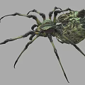 Intricate Reptile With Spiked Head Many Legs And Detailed Green Dark Patterns
