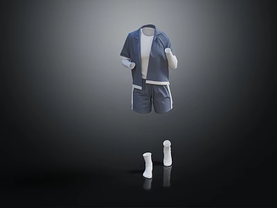 Stylish Grey Short Sleeve Top And Shorts Set With White Socks 3d model