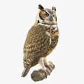 Great Horned Owl Perched On Wooden Branch With Detailed Feathers And Yellow Eyes