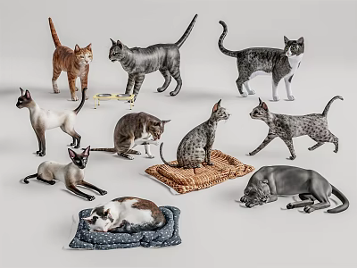 Colorful Reptile Figurines In Various Poses Standing On Mats And Decorative Bases 3d model