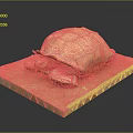 Turtle Cartoon Turtle Snapping Turtle Chickbill Turtle Reptile Cold Blooded Animal Reptile Class 3d model