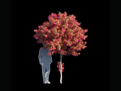 Tree With Pink And Green Leaves White Trunk And Human Silhouette On Black Background 3d model
