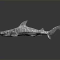 Silver Hammerhead Shark Model With Cracked Texture On Dark Background 3d model