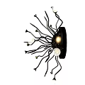 Modern Black Metal Wall Lamp With Curved Arms And Multiple Illuminating Lights