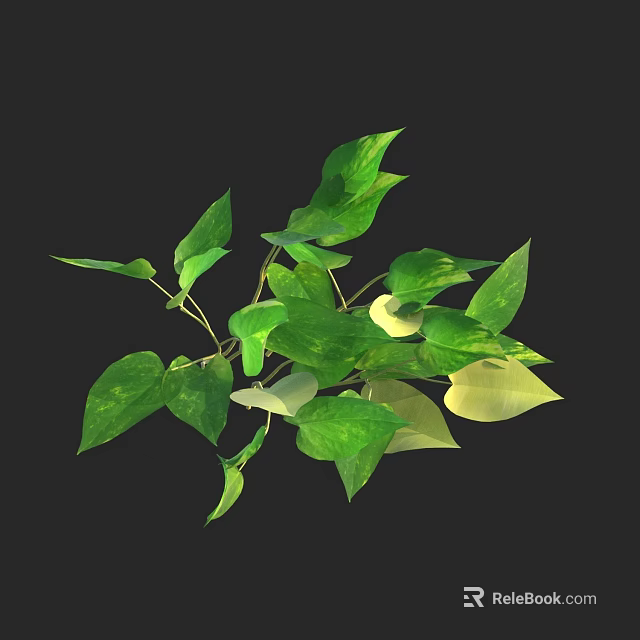 Lush Green Leafy Plants With Vibrant Fresh Leaves For Indoor Decor 3d model 