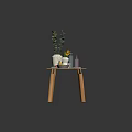Minimalist Modern Solid Wood Coffee Table With Vase Plants Books Bowl And Bottles