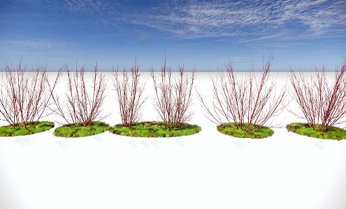 Modern Plants Redwood Landscape Ornamental Plants 3d model