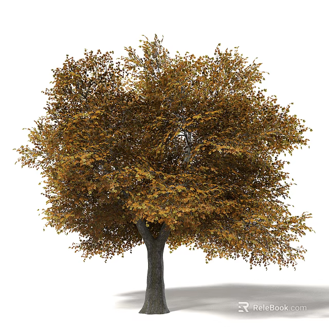 Autumn Tree With Lush Yellow Brown Leaves And Dark Trunk In Natural Scene 3d model 