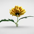 Decorative Vase Flower Arrangement with Yellow and Red Chrysanthemum and Green Leaves