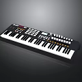 Professional Electronic Keyboard With Full Size Keys Control Panel And Digital