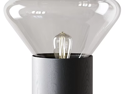 Modern Table Lamp With Transparent Glass Shade Visible Bulb And Dark Textured Base 3d model