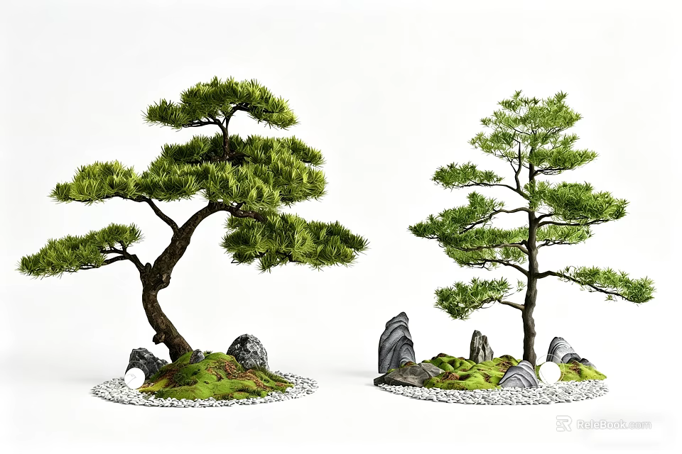 Bonsai Arbor Trees With Curved Trunks Green Foliage Stones And Pebbles 3d model 