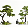 Bonsai Arbor Trees With Curved Trunks Green Foliage Stones And Pebbles