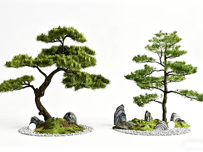 Bonsai Arbor Trees With Curved Trunks Green Foliage Stones And Pebbles 3d model