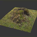 Natural Wooden Stump Decor With Stone Surface And Green Mossy Details