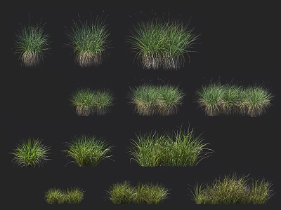 Various Types of Green Grass Clumps with Different Sizes for Landscaping Design 3d model