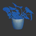 Beautiful Decorative Plant with Green and Red Leaves in White Ceramic Pot on White Background