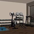 Home Gym Fitness Equipment With Elliptical Trainer Dumbbell Rack Exercise Balls Treadmill And Yoga Mat