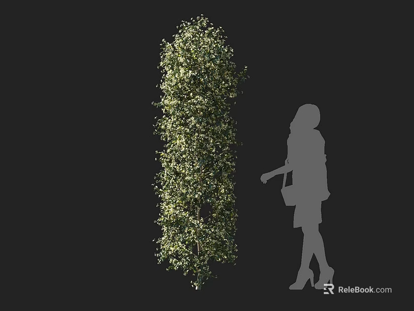Tall Green Vine Plant with Female Silhouette Carrying Handbag Wearing High Heels on Black Background 3d model 