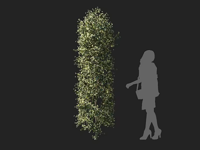 Tall Green Vine Plant with Female Silhouette Carrying Handbag Wearing High Heels on Black Background 3d model