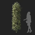 Tall Green Vine Plant with Female Silhouette Carrying Handbag Wearing High Heels on Black Background