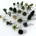 Different Types of Arbor Trees Collection with Shadows on White Background