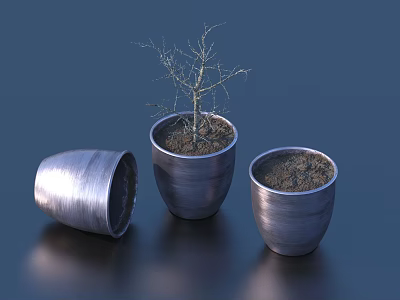 Bonsai Potted Plant In Metallic Pot With Two Empty Pots On Smooth Dark Surface 3d model