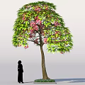Lush Tree with Green Leaves and Pink Flowers Near a Person Silhouette