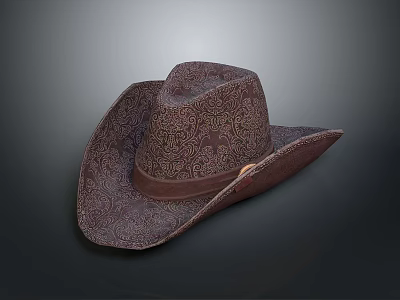 Stylish Brown Patterned Cowboy Hat With Leather Band For Everyday Use 3d model