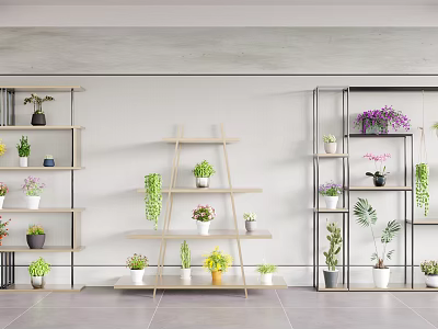 Indoor Garden Decor With Various Potted Green Plants On Wooden And Metal Shelves 3d model