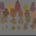 Colorful Deciduous Trees With Various Shapes Sizes And Vibrant Seasonal Foliage