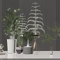 Various Bonsai Potted Plants In Modern Interior With White Black Pots And Metal Stands