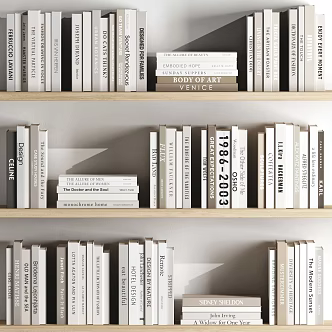 Modern Books 3d model