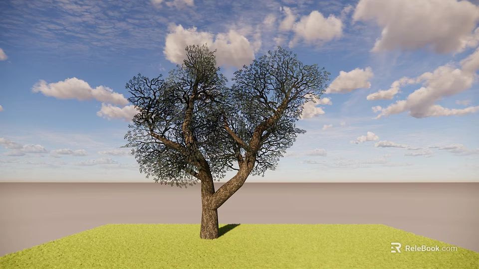 Deciduous Tree On Green Grass With Brown Trunk Branches Blue Sky White Clouds 3d model 