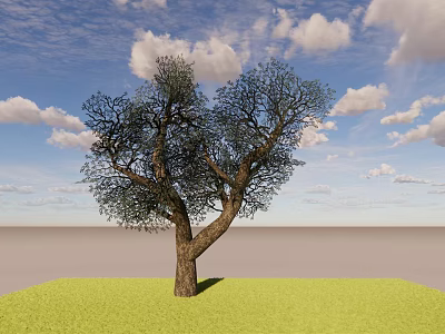 Deciduous Tree On Green Grass With Brown Trunk Branches Blue Sky White Clouds 3d model