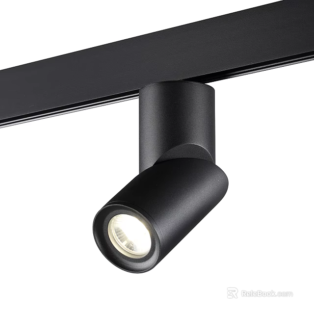 Black Track Mounted Spotlight with Adjustable Head for Bright Home Lighting 3d model 