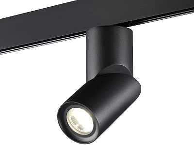 Black Track Mounted Spotlight with Adjustable Head for Bright Home Lighting 3d model