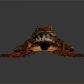 Brown Spotted Frog With Detailed Skin And Prominent Eyes On Dark Background