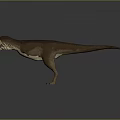 3D Model of T-Rex Dinosaur with Brown Skin Open Mouth Sharp Teeth on Gray Background