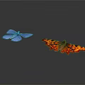 Two Vibrant Butterflies With Blue And Orange Spotted Wings On White Background