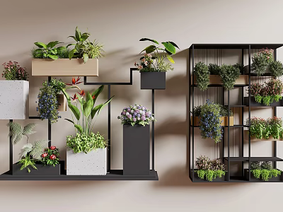 Indoor Plants And Flowers On Wall Mounted Shelves With Black Frames And White Planters 3d model