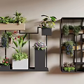 Indoor Plants And Flowers On Wall Mounted Shelves With Black Frames And White Planters